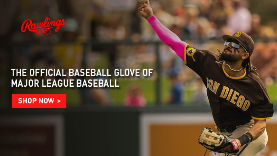 Slide 4 - Rawlings  Slide 4 - Rawlings
